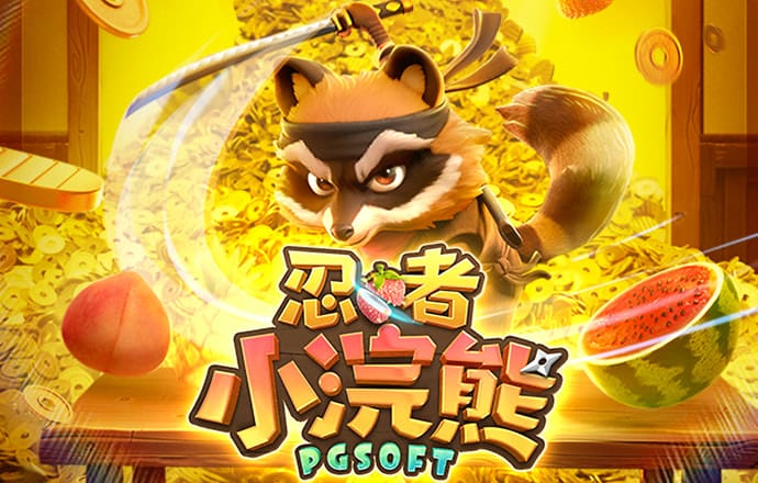 金年华体育平台官网入口